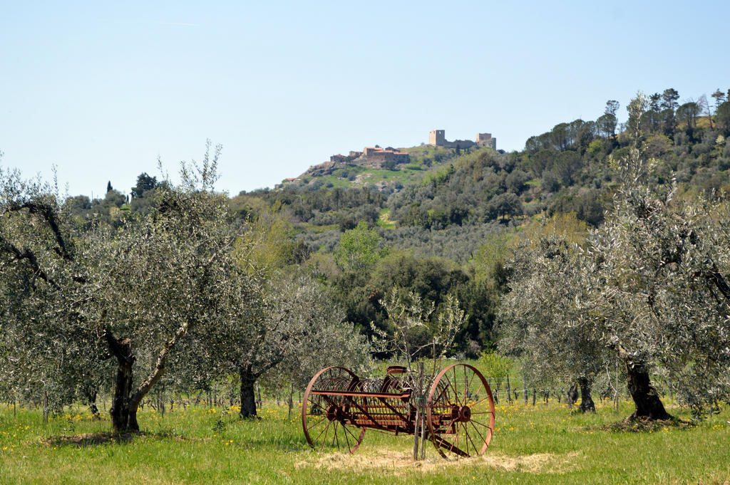 Roccatederighi Country House Il Ciliegio מראה חיצוני תמונה